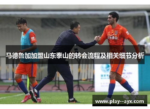 马德鲁加加盟山东泰山的转会流程及相关细节分析 马德鲁加加盟山东泰山的转会流程及相关细节分析