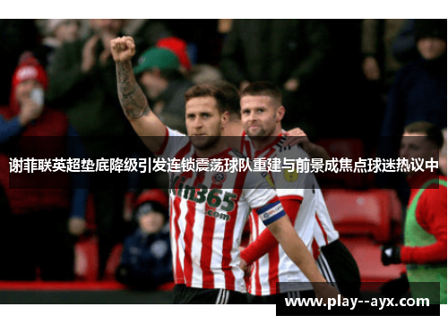 谢菲联英超垫底降级引发连锁震荡球队重建与前景成焦点球迷热议中