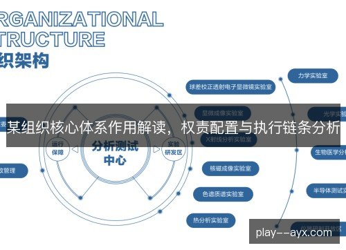 某组织核心体系作用解读,权责配置与执行链条分析 某组织核心体系作用解读,权责配置与执行链条分析
